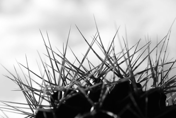 যেভাবে boot animation & shutdown animation পরিবর্তন করবেন