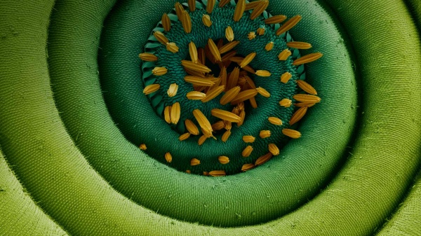 সাউন্ড বারিয়ে নিন আপনার এন্ড্রোয়েড ফোনের (No Need Apps And Root)