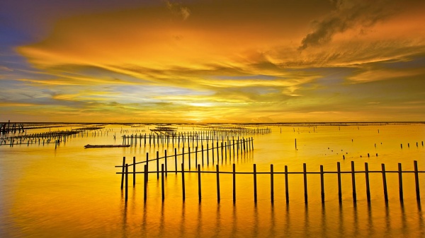 Google Play Store এর সমস্যার সমাধান‬ {Root User}