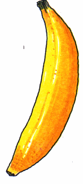 এনড্রয়েড এর এই দিনে আমি একজন ইংরেজি কথক