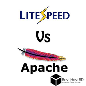 Hosting কেনার আগে জেনে নিন – Apache নাকি LiteSpeed ভাল হবে?