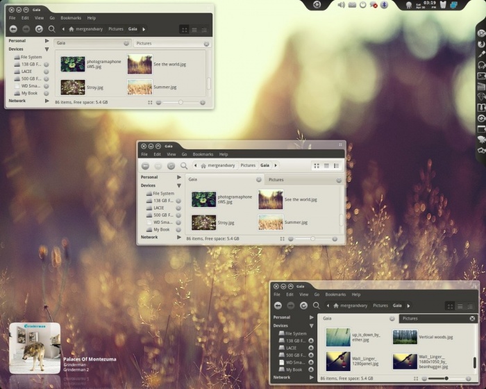 Ubuntu তে theme install করার পদ্ধতি