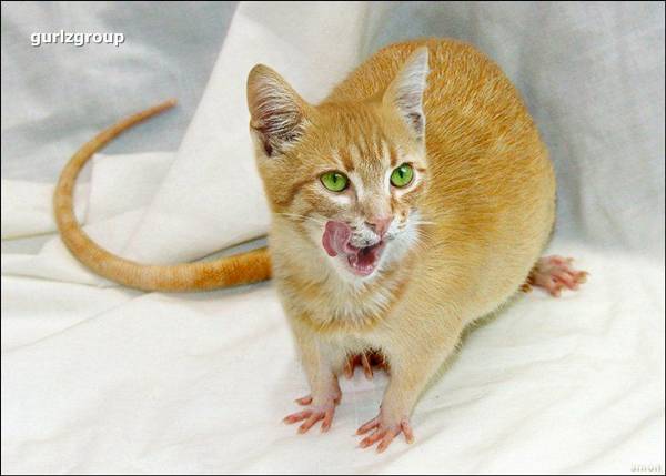 ধন্যবাদ আর নয় অনেক লিখেছি সব এখন মুছে ফেলছি আমার লিখা গুলো কোন কোম্পানি এর জন্য ছিল না ধন্যবাদ আর নয় অনেক লিখেছি সব এখন মুছে ফেলছি আমার লিখা গুলো কোন কোম্পানি এর জন্য ছিল না ধন্যবাদ আর নয় অনেক লিখেছি সব এখন মুছে ফেলছি আমার লিখা গুলো কোন কোম্পানি এর জন্য ছিল না ধন্যবাদ আর নয় অনেক লিখেছি সব এখন মুছে ফেলছি আমার লিখা গুলো কোন কোম্পানি এর জন্য ছিল না