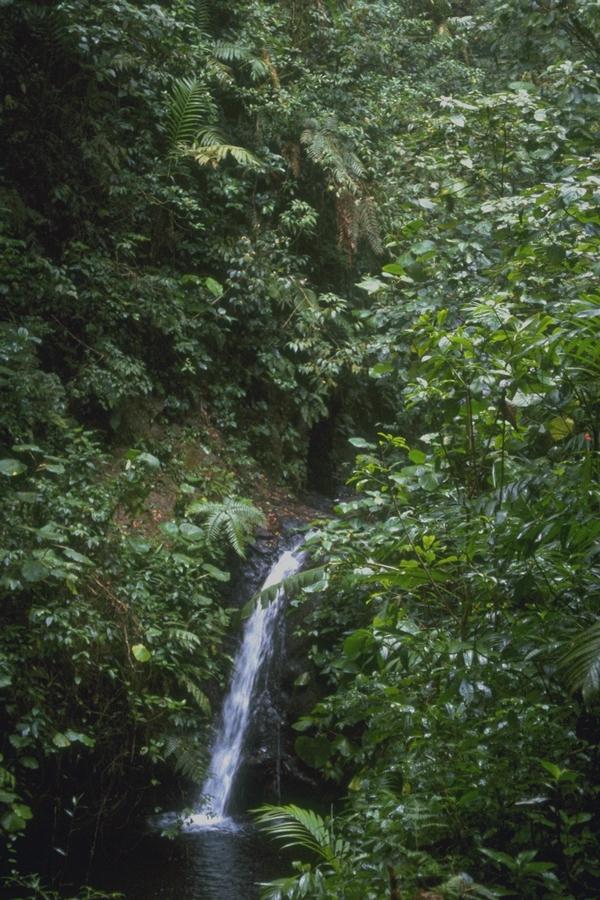 ধন্যবাদ আর নয় অনেক লিখেছি সব এখন মুছে ফেলছি আমার লিখা গুলো কোন কোম্পানি এর জন্য ছিল না