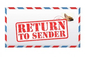 ভুলে চলে গেলে ফিরিয়ে আনুন ই-মেইল