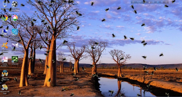 আপনার ডেস্কটপে ছড়িয়ে দিন পোকামাকড় আর বন্ধুদের বোকা বানান