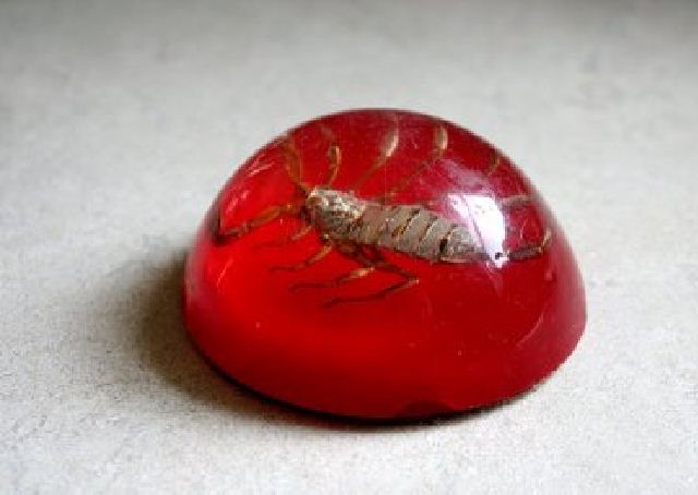 মজার ট্রিক্স এবার কলম দিয়ে নিজেই তৈরি করুন পেপার ওয়েট