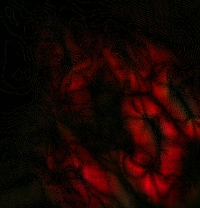 দয়া করে কেউ কি বলবেন কোন পিটিসি সাইট সত্যি পে করে।