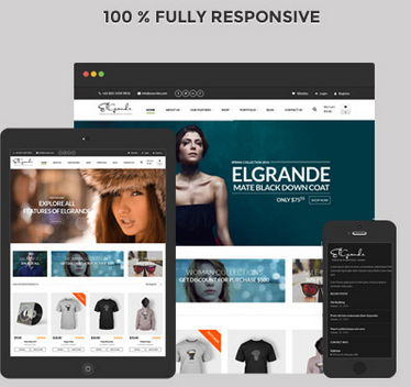 ৫৮$ এর একটি প্রিমিয়াম ই-কমার্স ওয়ার্ডপ্রেস থিম ফ্রী ডাউনলোড