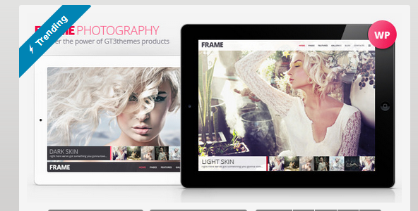 ফ্রী তে নিয়া নিন ৪৮ডলার দামের প্রিমিয়াম ফটোগ্রাফি ফ্রেম ওয়ার্ডপ্রেস থিম