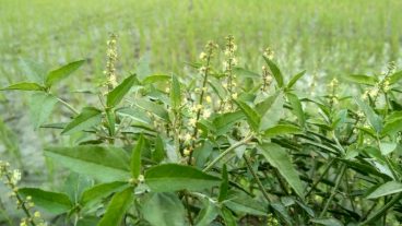 প্রি-লান্স অফার!! সাইন-অাপেই ৫০ ডলার!! আপডেটেড টিউন