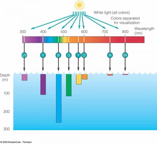 কুর’আনে প্রযুক্তি [পর্ব-২৩] :: সমুদ্রের গভীর অন্ধকার আর আভ্যন্তরীণ তরঙ্গমালা