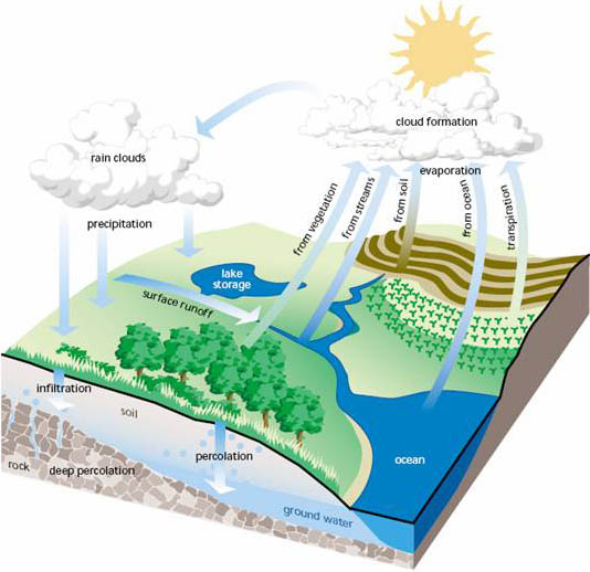 কুর’আনে প্রযুক্তি [পর্ব-২৮] :: বৃষ্টি কিভাবে হয় ?