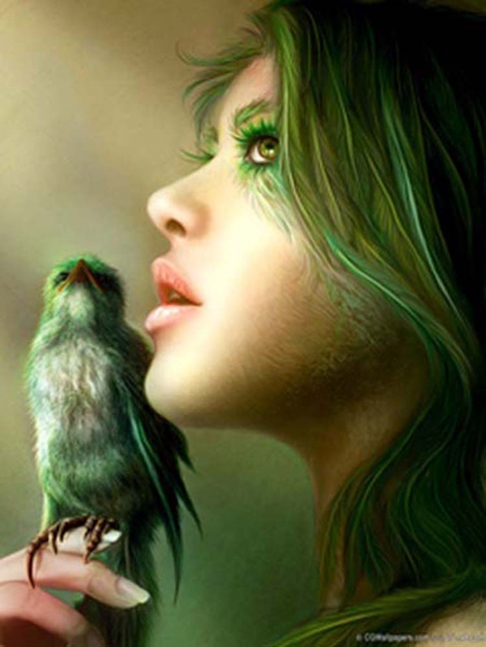 COMPUTER এর জন্য awesome software। আপনার পিসি কে করবে সুপার ফাস্ট