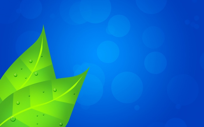 ভিডিও টিউটোরিয়াল তৈরি করতে চান ? তাহলে ফ্রিতে নিয়ে নিন Bandicam Software সাথে সিরিয়াল কি।