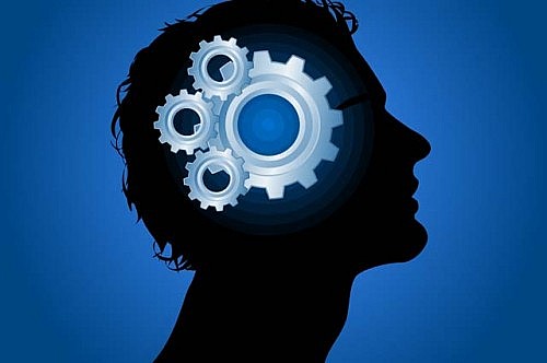 জেনে নিন অজানা কিছু মজার তথ্য!!