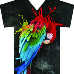 Help ME PLEASE. TO DOWNLOAD A SOFTWARE.