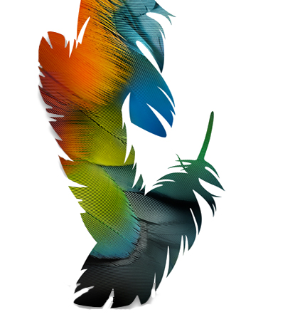 ফটোশপ শিখুন : ফটোশপ উইন্ডো পরিচিতি