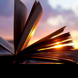 3D পড়ার জন্য আর নয় বিশাল বিশাল প্রিমিয়াম সফটওয়্যার। এবার ছোট্ট একটি সফটওয়্যার দিয়ে তৈরী করুন সুদৃশ্য বুক শেল্ফ আর যেকোন PDF বই পড়ুন 3D তে। [পিসি + অ্যান্ড্রোয়েড]