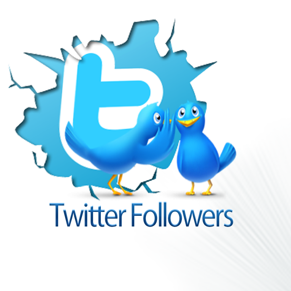 রিয়াল ও টার্গেটেড টুইটার ফলোয়ার বাড়ানো কোন ব্যাপারই না