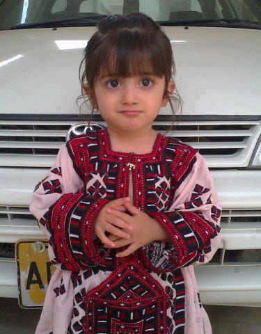 i need this link softwere