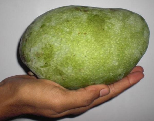 আমার নিজেস্ব সাইটের কিছু ভিজিটর দরকার কি করা যায়