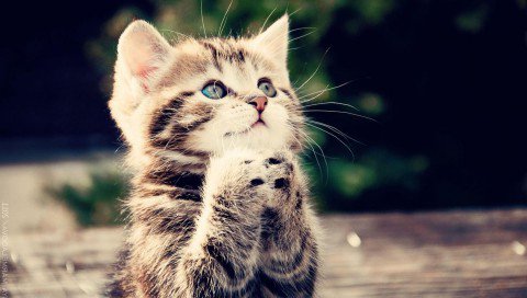 দেখে নিন অফিসিয়াল “পৃথিবী”-র ফ্লাগ [যখন মানুষ মঙ্গলে বসবাস শুরু করবে]