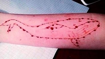 Blue Whale নিয়ে বিস্তারিত জানুন,নিজে সতর্ক হোন ও অন্যকে সতর্ক করুন।