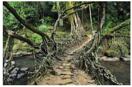 মেমোরি কার্ড password recovery