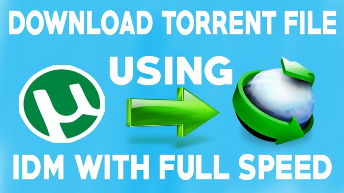 দেখে নিন কিভাবে টরেন্ট এর ফাইল IDM দিয়ে ডাউনলোড করবেন Resume Support সহ। ভিডিও টিউটোরিয়াল