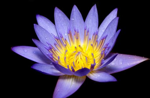 আজ থেকে আপনিও হয়ে যান একজন গ্রাফিক্স ডিজাইনার (না দেখলে ১০০% মিস করবেন)