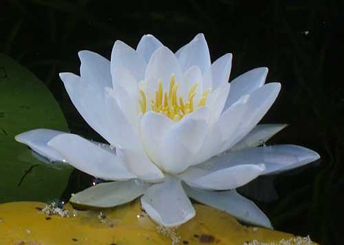 Enable করুন disable হয়ে যাওয়া RUN, Task Manager, Folder Option, Control Panel ইত্যাদি ।