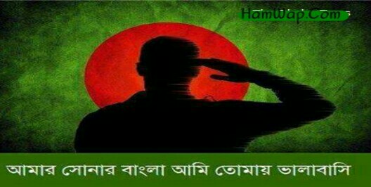 আপনার সাইটের ভিজিটর দেরকে স্বাধীনতার শুভেচ্ছা জানান অসাধারন একটি JavaScript দিয়ে