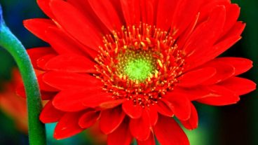 মা কে নিয়ে কত ইসলামী সংগীত শুনেছেন বাবা কে নিয়ে চমৎকার একটি ইসলামী গান শুনে দেখুন