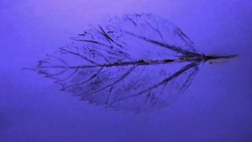 Cool Home Projects [পর্ব-০৭] :: কাঁচের বোতল দিয়ে কিভাবে স্মোক প্রিন্ট তৈরি করবেন?