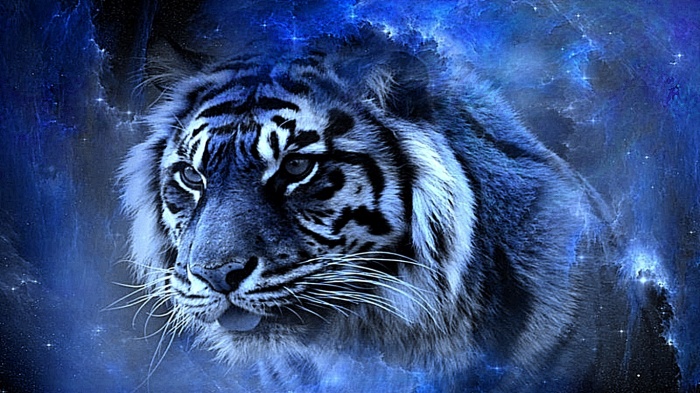 Grameenphone এ ৫০ MB ৫০ SMS যারা পাননি তারা সমাধান নিয়ে নিন!