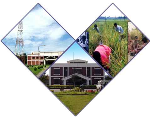 bangladesh open university BA/BSS result 2013 published