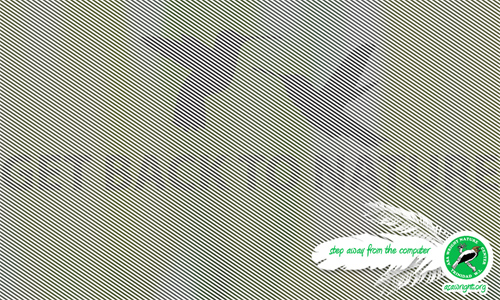 asa-wright-nature-center-nature