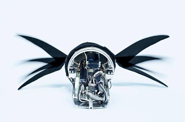 artificial_penguins_02