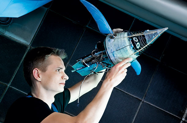 artificial_penguins_06