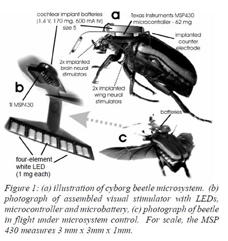 cyborg-beetle-microsystem