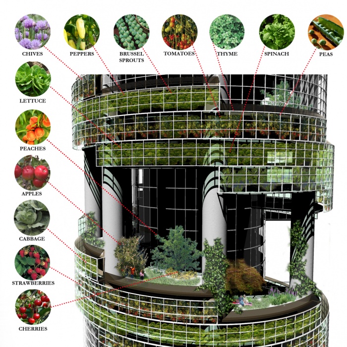 verticalfarm33