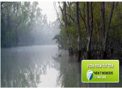 আসুন ঘুরে আসি সুন্দরবন থেকে আর বাংলাদেশী হিসাবে ভোট ও দিয়ে আসি সুন্দরবনকে।