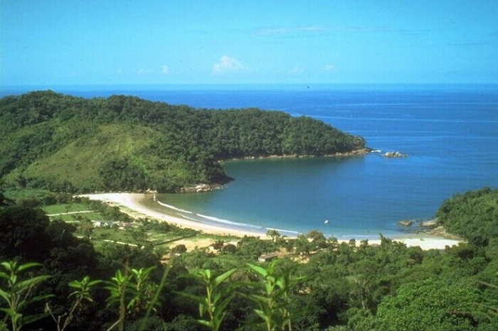 SEO এক্সপার্টদের সাহায্য দরকার?