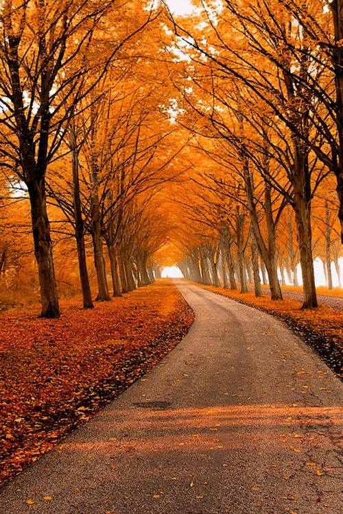 Boro vayader kase aktu help chai..