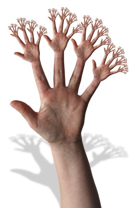 অটোরানের জ্বালা আর না আর না !!!