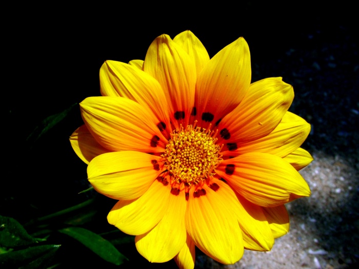 যাদের স্বাদের এন্ড্রোয়েট ফোনে google play service install হয়না তারা দেখুন