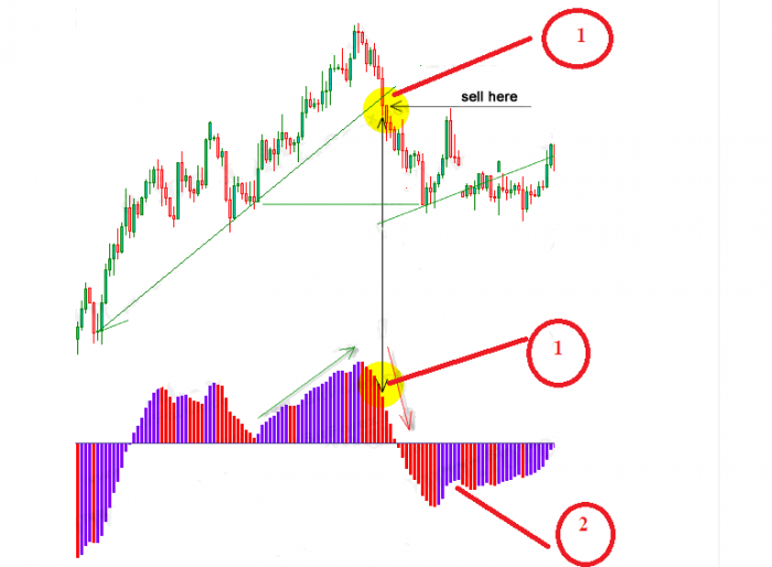 ইন্ডিকেটর কিভাবে আপনাকে লাভ এর থেকে লস করাই বেশি জেনে নিন কাজে লাগবে