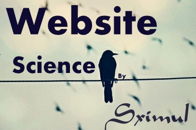 ওয়েবসাইট সাইন্স [পর্ব ১] :: কেন একটা বাংলাদেশী সাইট ব্যার্থ হতে পারে।