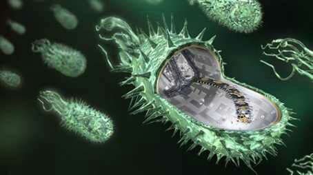 মমজী [পর্ব ০]: মজাই মজাই জীব বিজ্ঞাণের শুরু :)